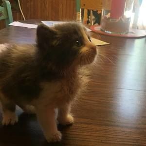 Meet your Posher, Marlene